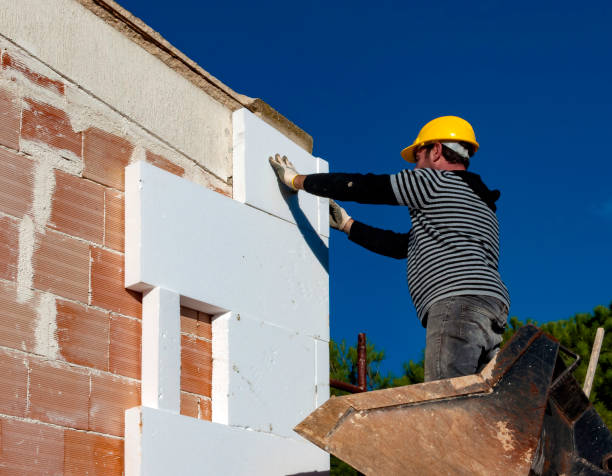 Best Specialized Insulation Services in Nett, MO