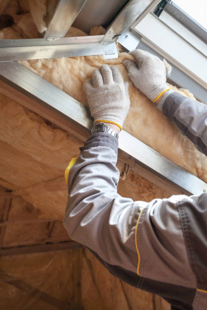 Best Geographic-Specific Insulation Services in Nett, MO